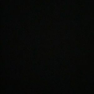 Meet your Posher, Cesar